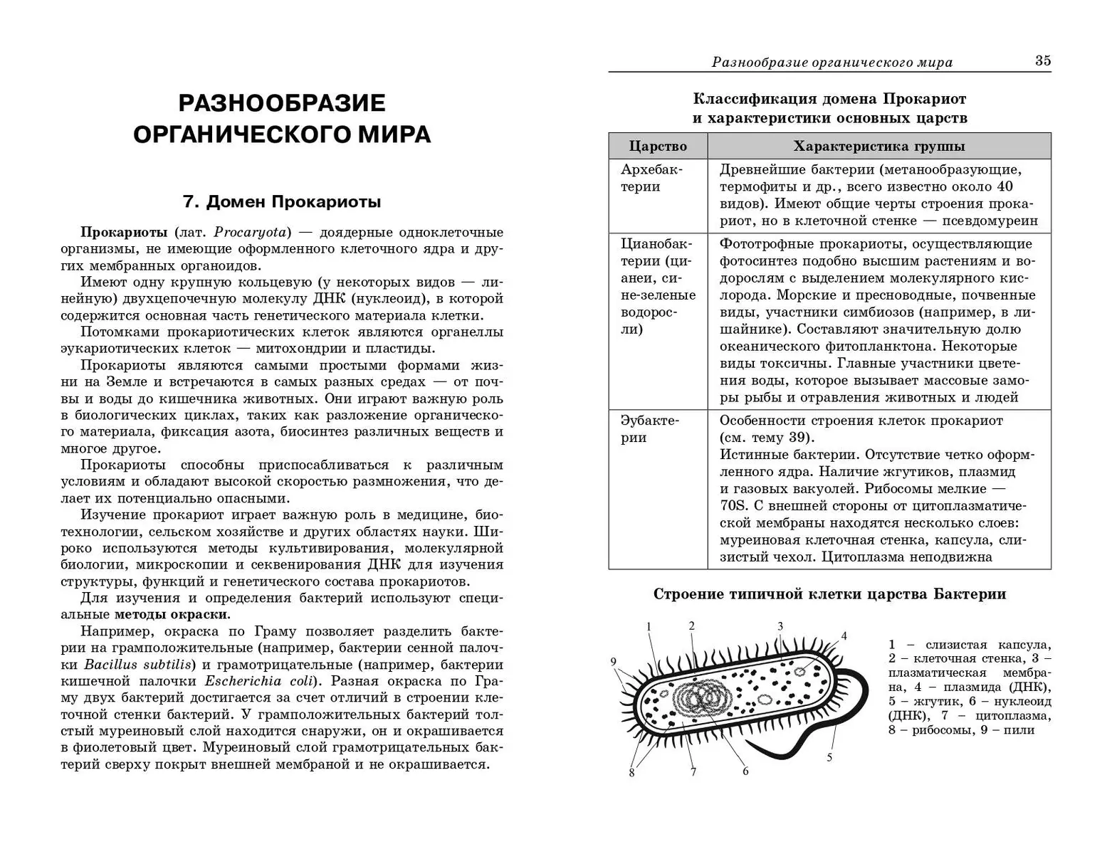 Какой из организмов не имеют оформленного ядра?