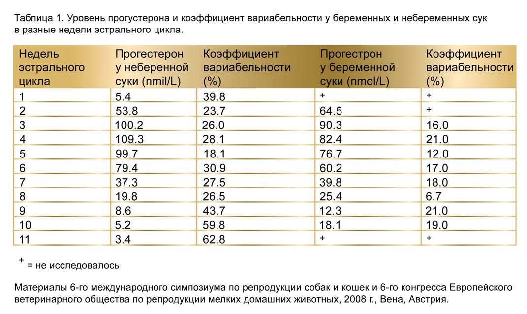 Какой прогестерон в норме?