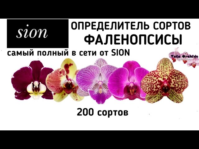 Какой сорт бекона использует McDonald's?
