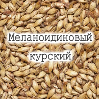 Каков вкус меланоидинового солода?