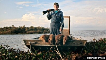 Каковы последствия прибрежной эрозии в Луизиане?