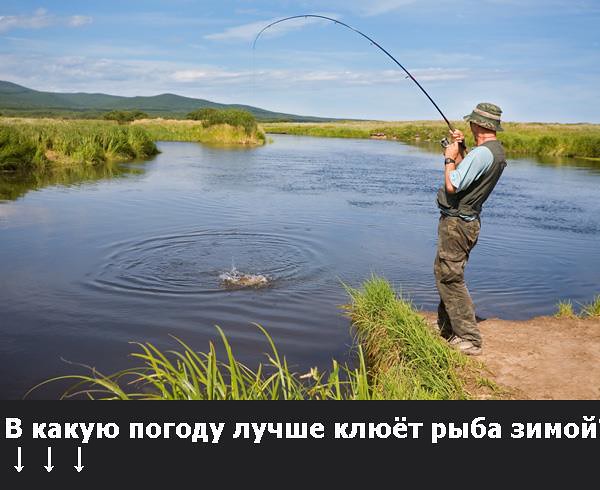 Когда хорошо клюет рыба зимой?