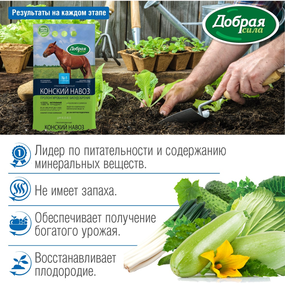 Когда лучше вносить навоз под деревья?