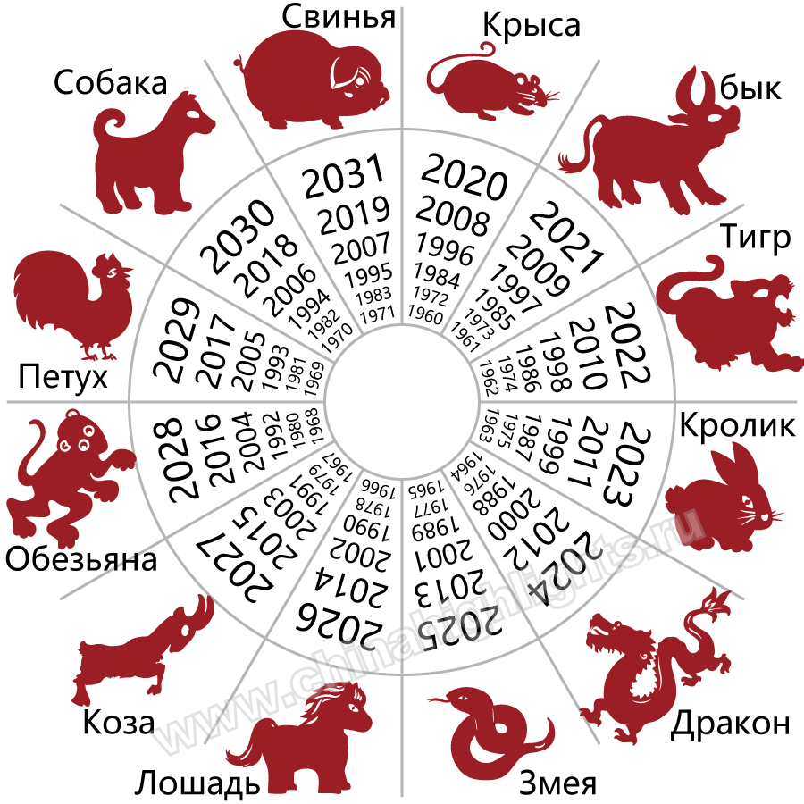 Кому можно не ставить ККТ в 2021 году?