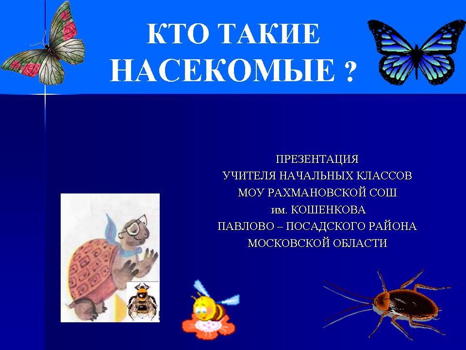 Кто такие насекомые для детей?