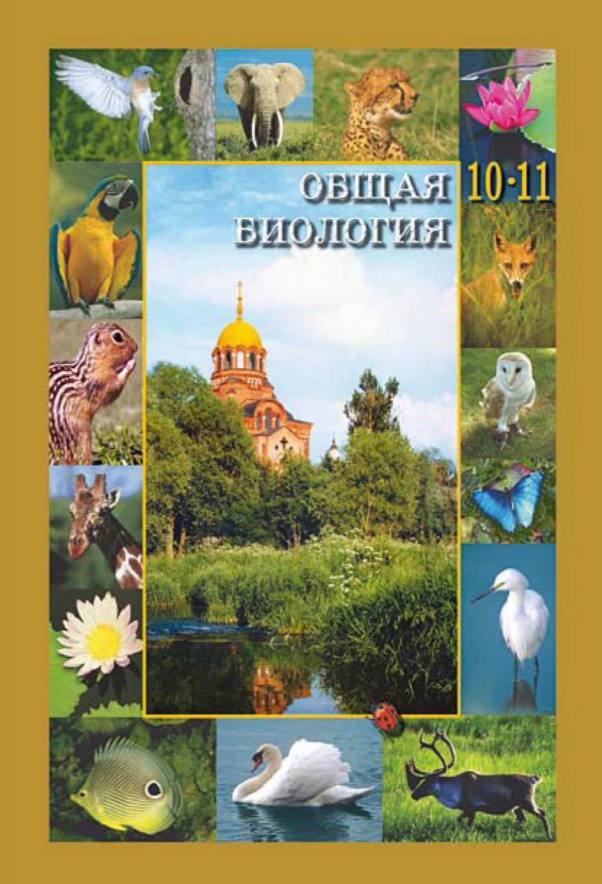 Могут ли птицы есть скорлупу обезьяньих орехов?