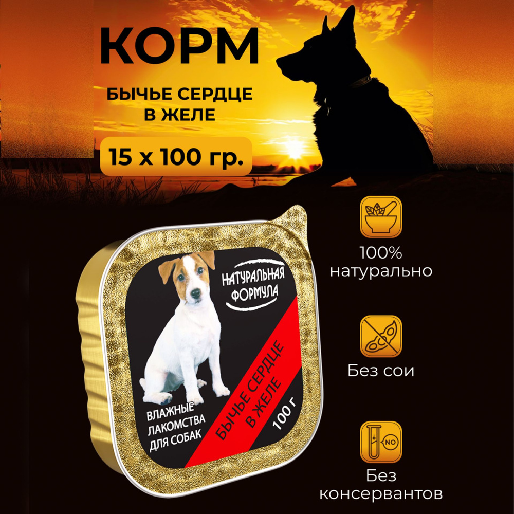 Можно ли давать собаке говяжье сердце?