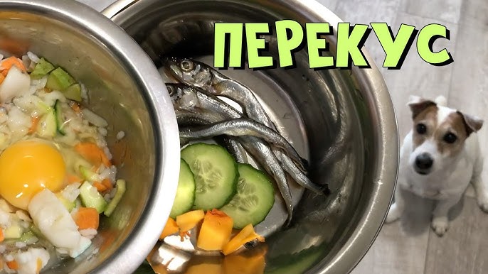 Можно ли давать собаке селедку?