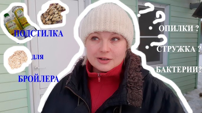 Можно ли держать бройлеров на опилках?