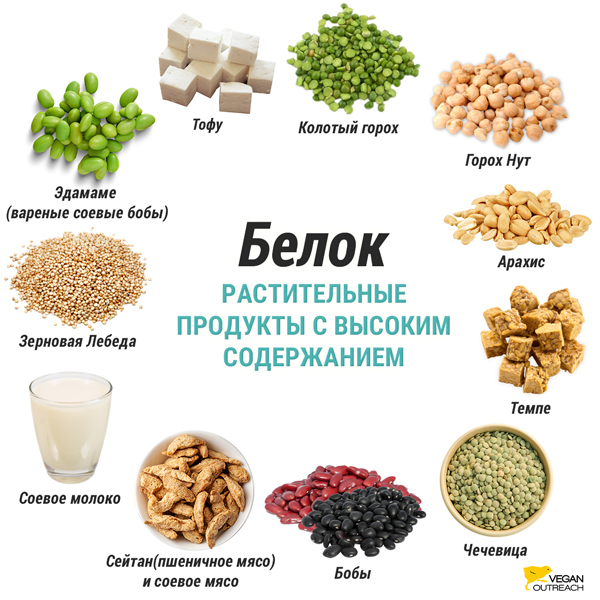 Можно ли есть лебеду сырой?