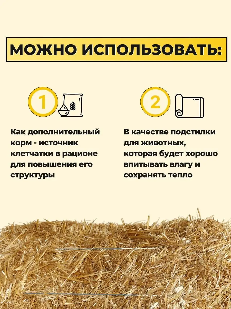 Можно ли использовать солому в качестве подстилки для морских свинок?