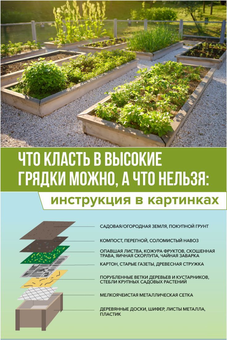 Можно ли класть сорняки в компост?