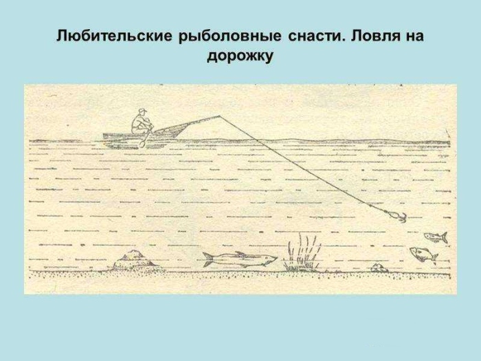 Можно ли ловить на дорожку?