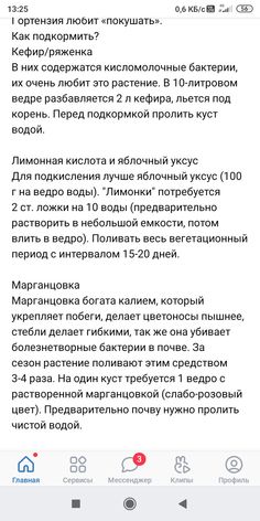 Можно ли поливать гортензию яблочным уксусом?