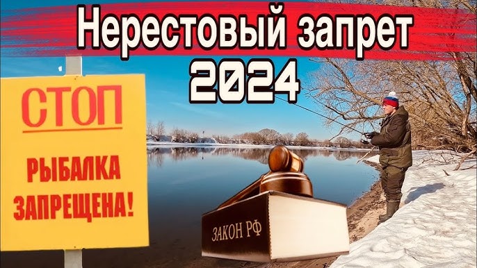 Можно ли рыбачить с лодки в нерестовый запрет?