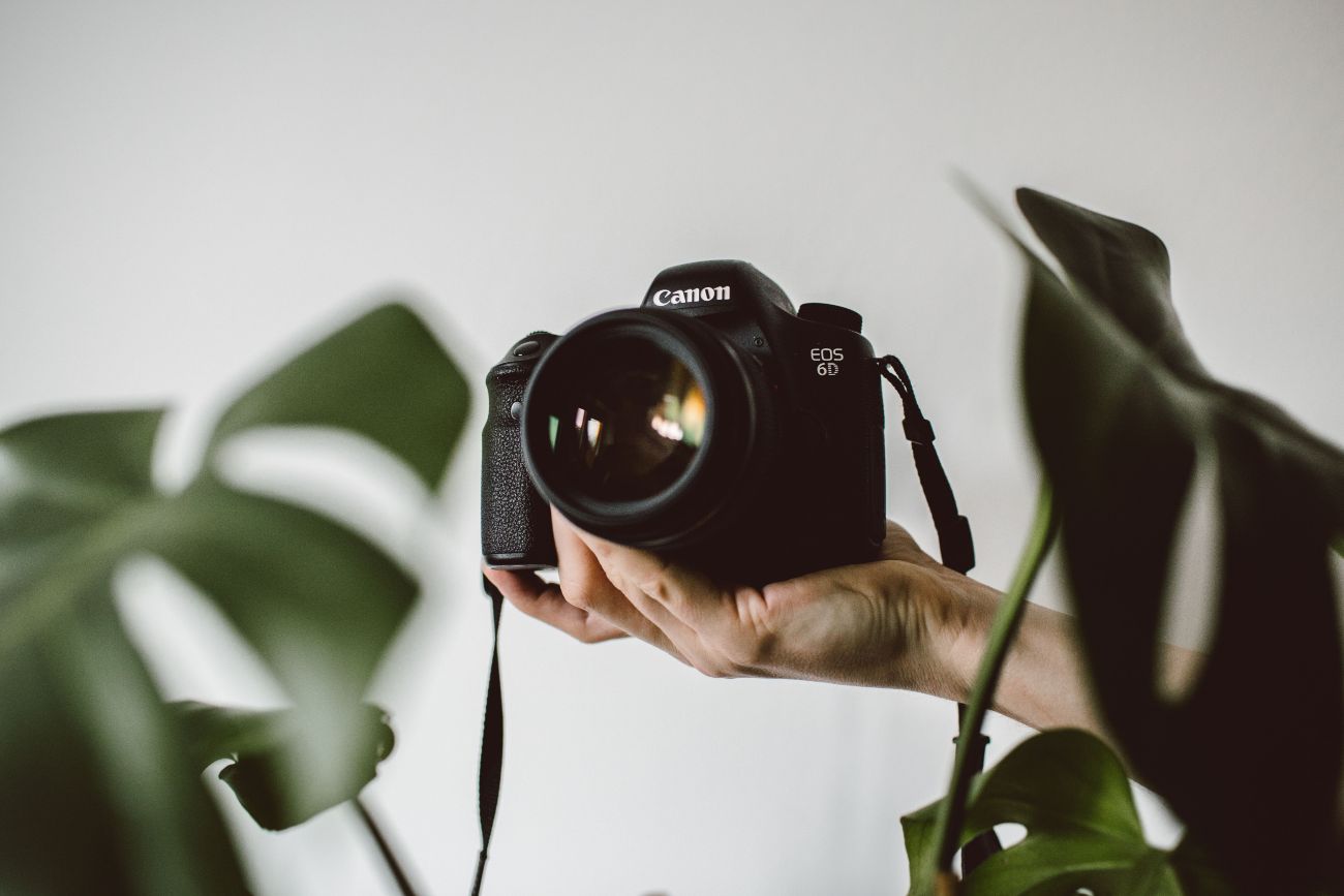 Можно ли самозанятому открыть фотостудию?