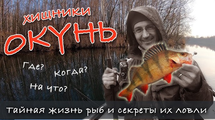 Откуда появилась рыбалка?