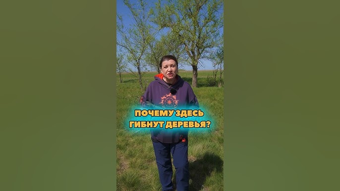 Почему гибнут плодовые деревья?