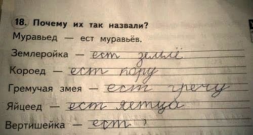 Почему их так назвали Вертишейка?