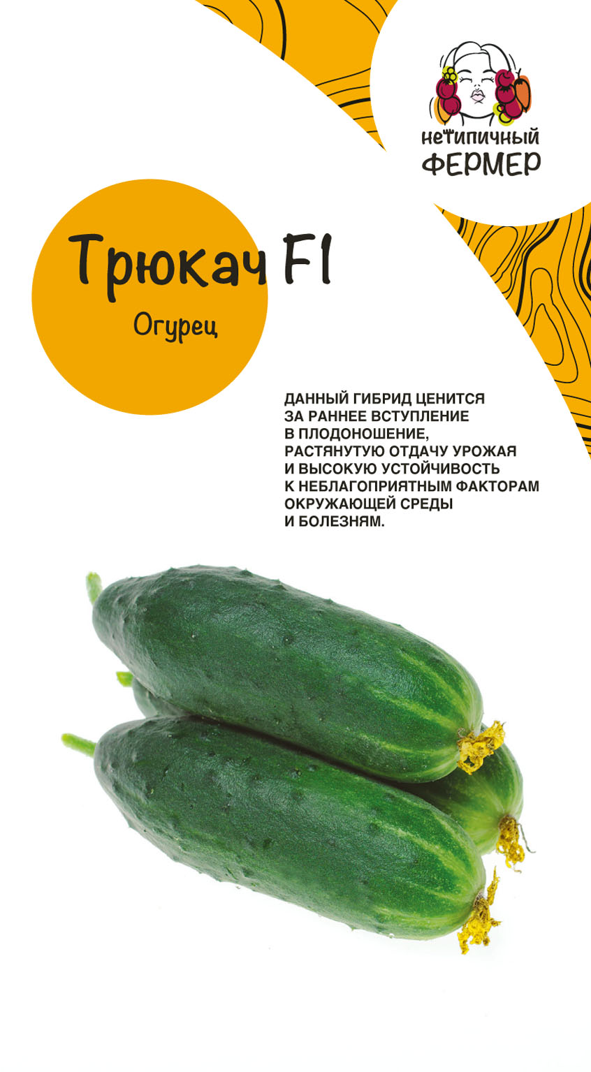 Почему мои огурцы круглые?