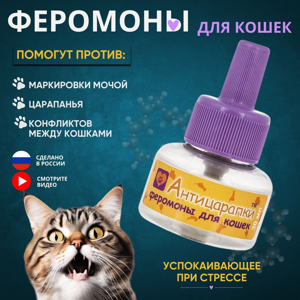 Почему моя кошка истекает мочой?