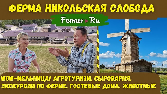 Почему они построили ветряную мельницу на ферме животных?