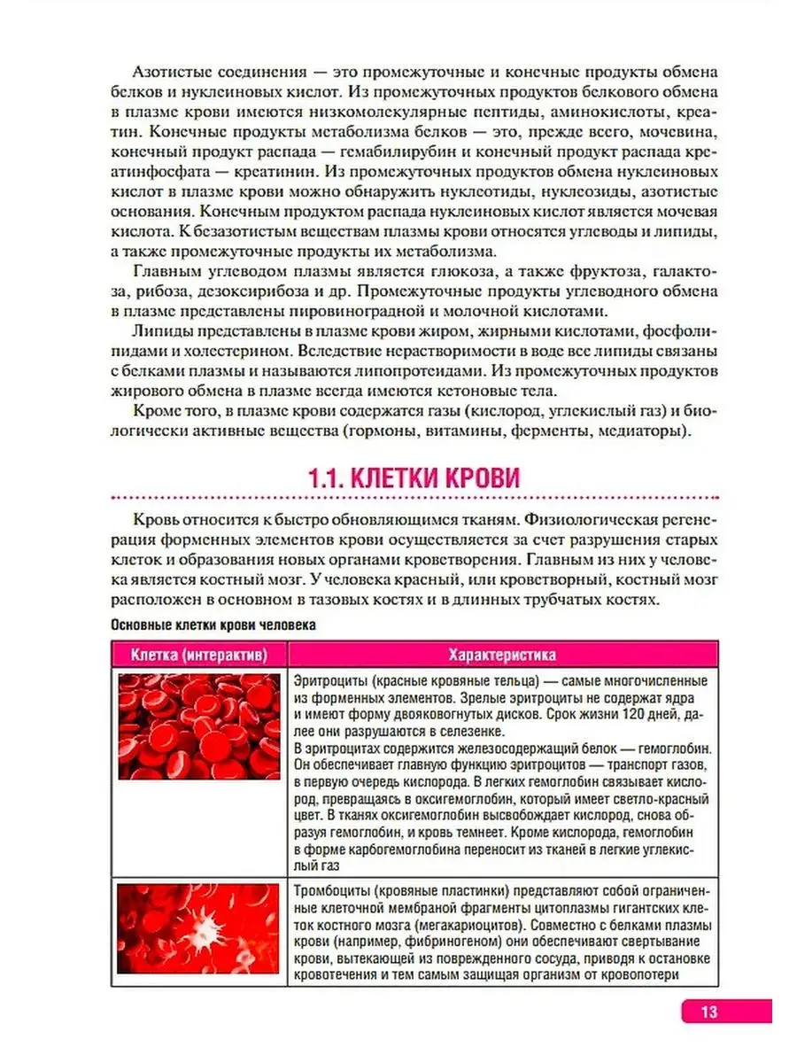 Почему зрелые эритроциты не имеют ядра?