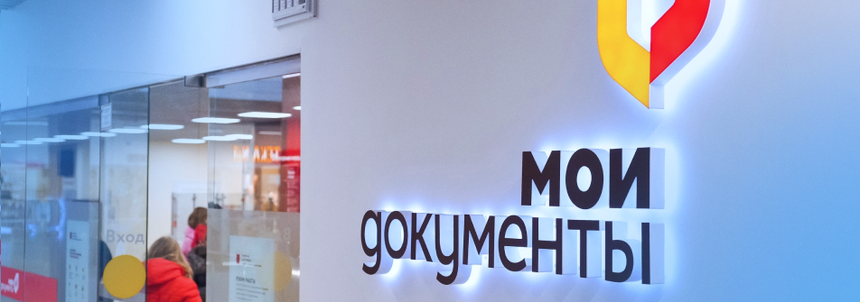 Полезны ли осы для моего сада?