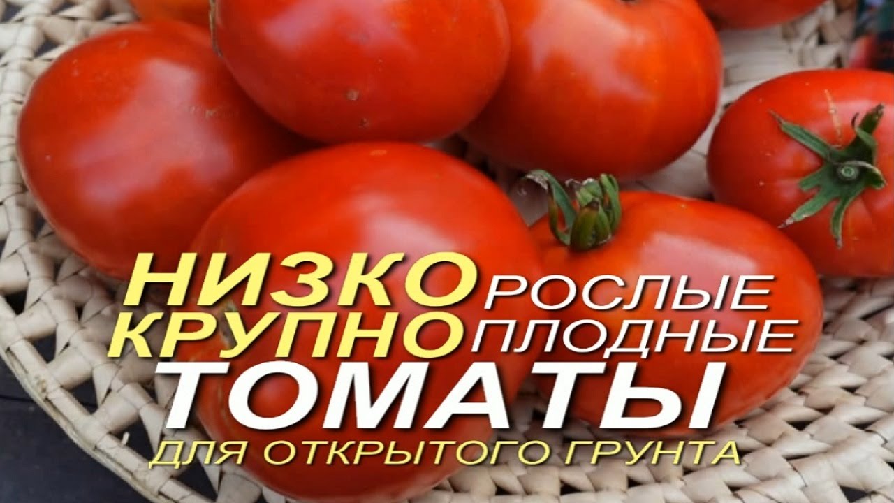 Помидоры черри самоопыляются?
