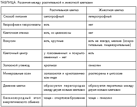 В чем сходство растительной и животной клетки?
