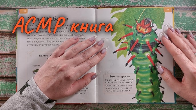 Заворачиваются ли гусеницы в листья?